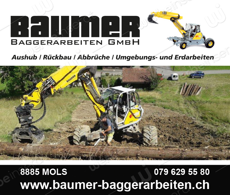 Baumer Baggerarbeiten GmbH