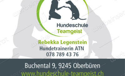 Hundeschule Teamgeist