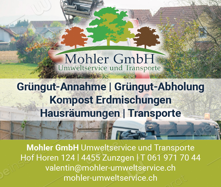 Inserat Nr2 Mohler GmbH V1 2