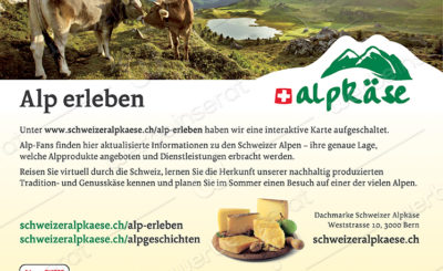 Alpkäse