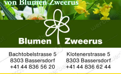 Blumen Zweerus