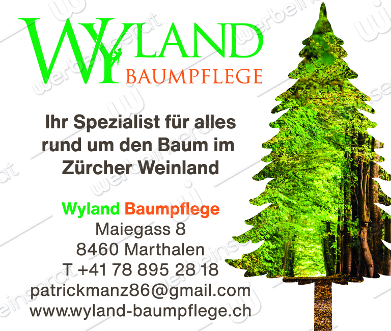 Inserat Nr18 Wyland Baumpflege 2