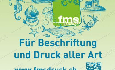 FMS Druck AG