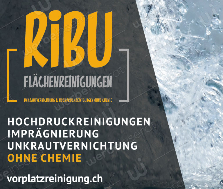 Inserat Nr03 RIBU Flaechenreinigungen GmbH 2